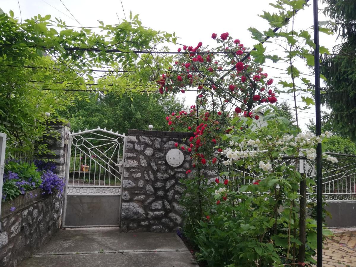 Hotel Fuege Vendeghaz Miszkolc Zewnętrze zdjęcie